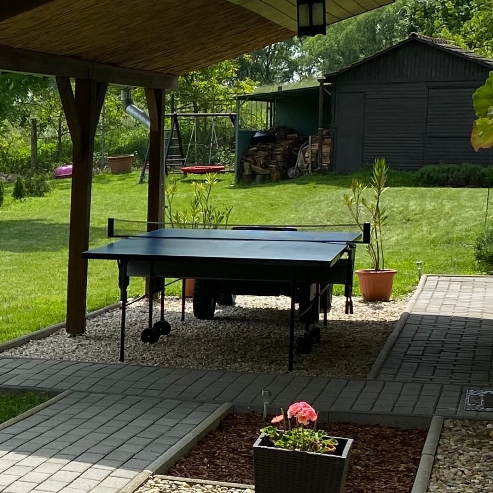 PingPong - Tücsökvendégház